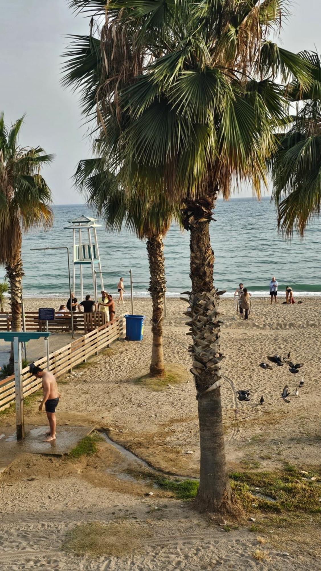Rent Near Sea In The Center Apartment
