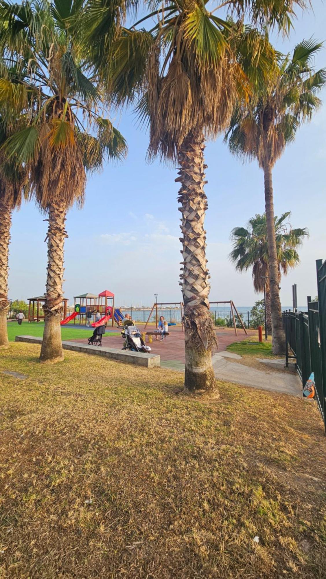 Rent Near Sea In The Center Apartment *