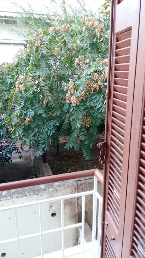 Apartment Rent Near Sea In The Center Athens