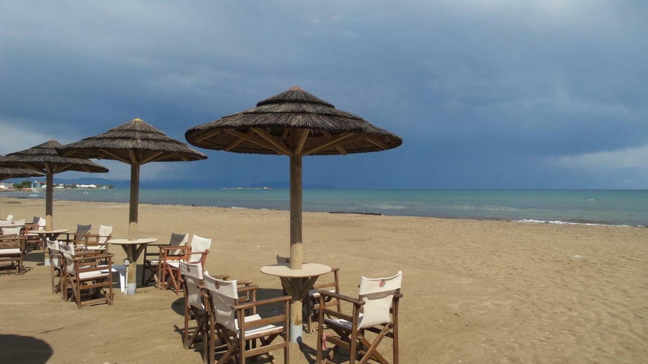 Apartment Rent Near Sea In The Center Athens